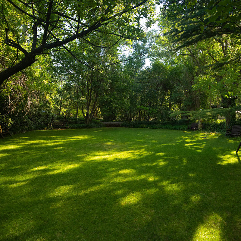 Lower-Orchard